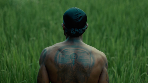 SOFTSPOT Nick Walker